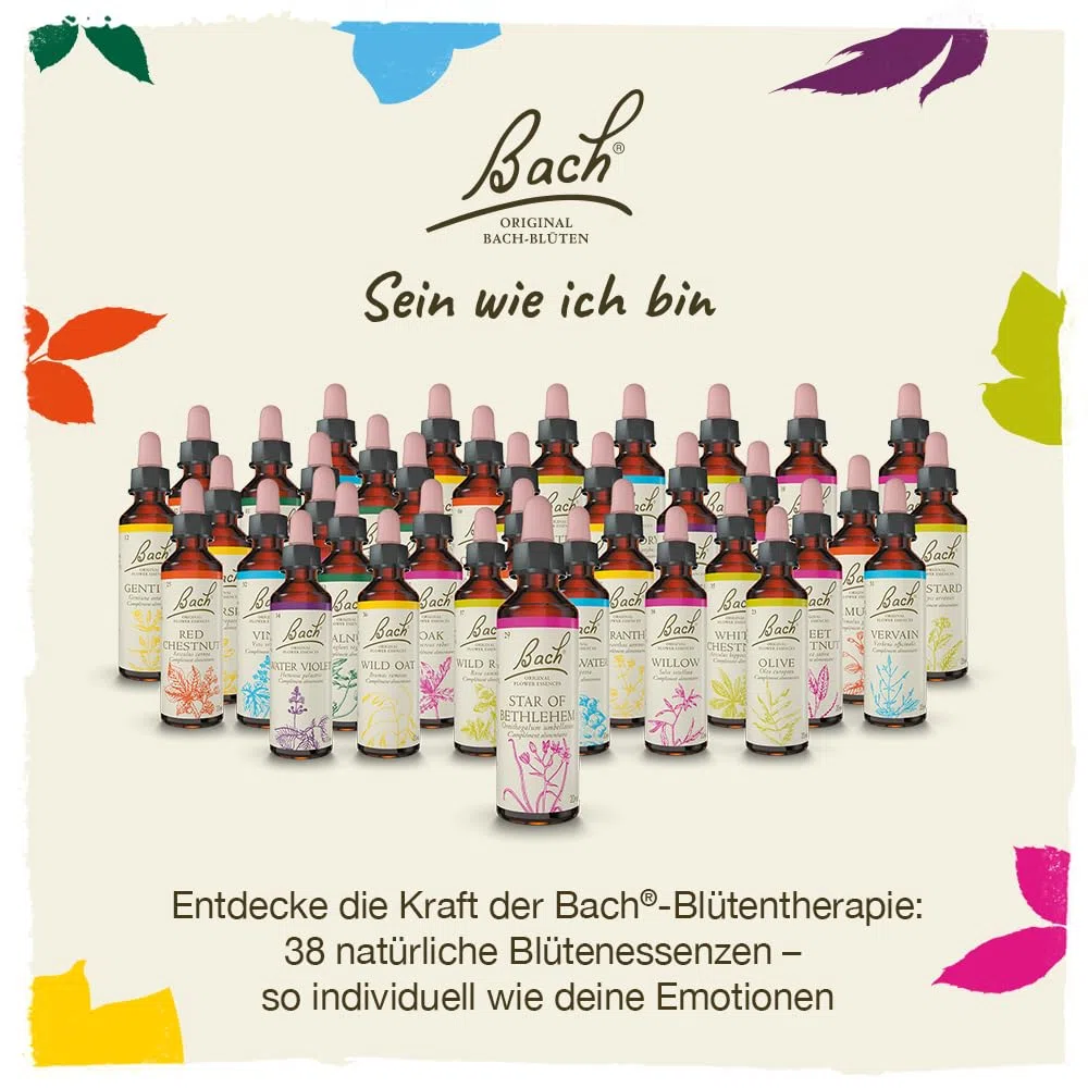 Original Bachblüten Tropfen Box: Alle 38 Bach-Blüten Essenzen + 2x RESCURA Rescue Tropfen, 40x10ml