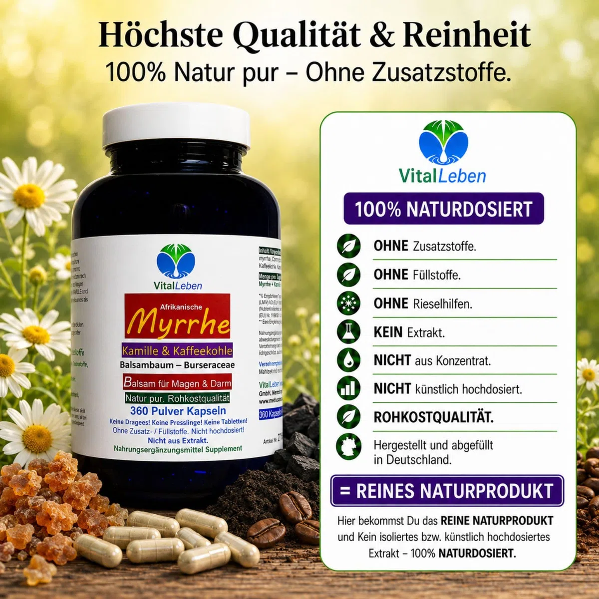 MYRRHE + KAMILLE + KAFFEEKOHLE 1080 Pulver Kapseln (3x360) für den gestressten Darm nach AYURVEDA und Hildegard von Bingen - NATUR pur - OHNE ZUSATZSTOFFE [18 Monate] 27160-7