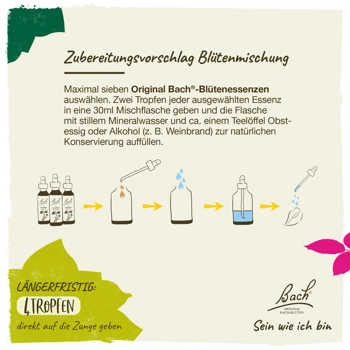 Original Bachblüten Tropfen Box: Alle 38 Bach-Blüten Essenzen + 2x RESCURA Rescue Tropfen, 40x10ml