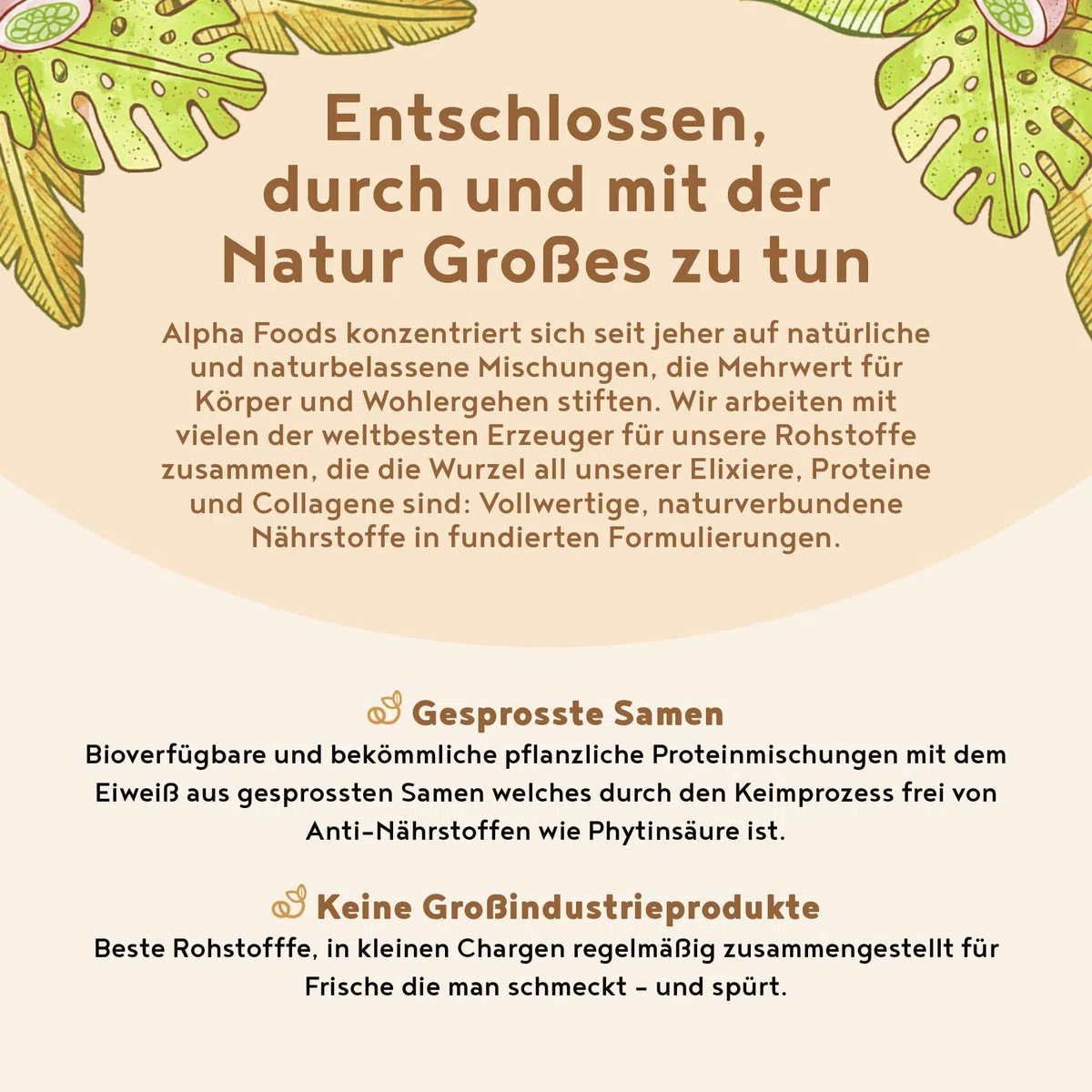 Veganes Proteinpulver | Cookie Dough | 30g Probierpäckchen Eiweißpulver | Produktprobe | Premiumqualität Protein | Made in Germany | Alpha Foods